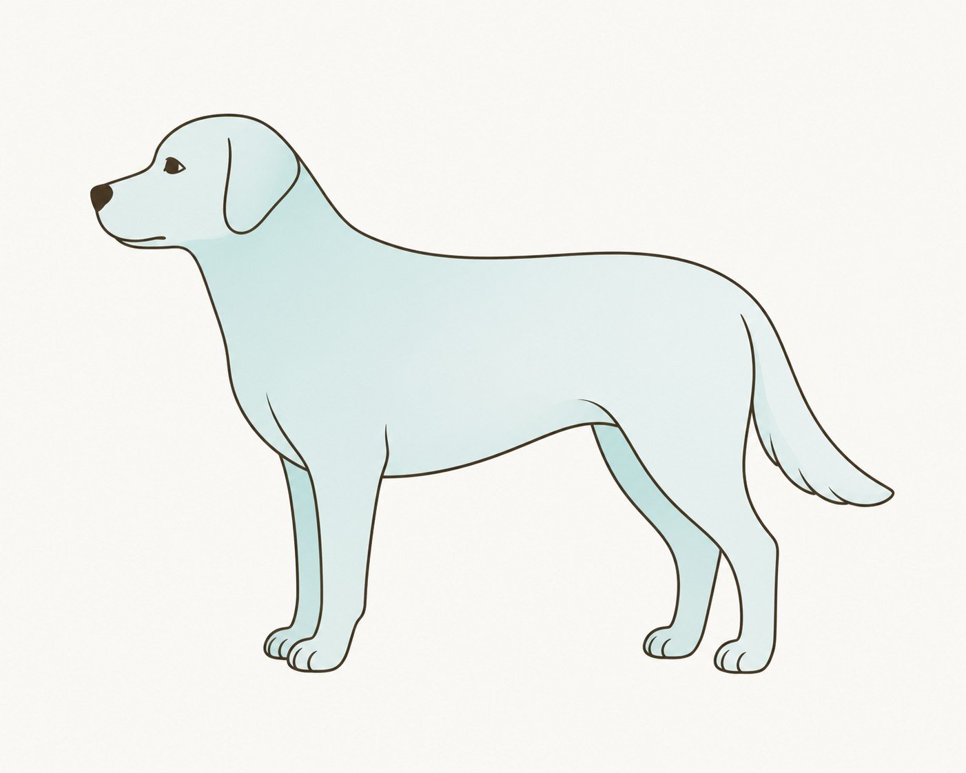 Canine injection site anatomy guide